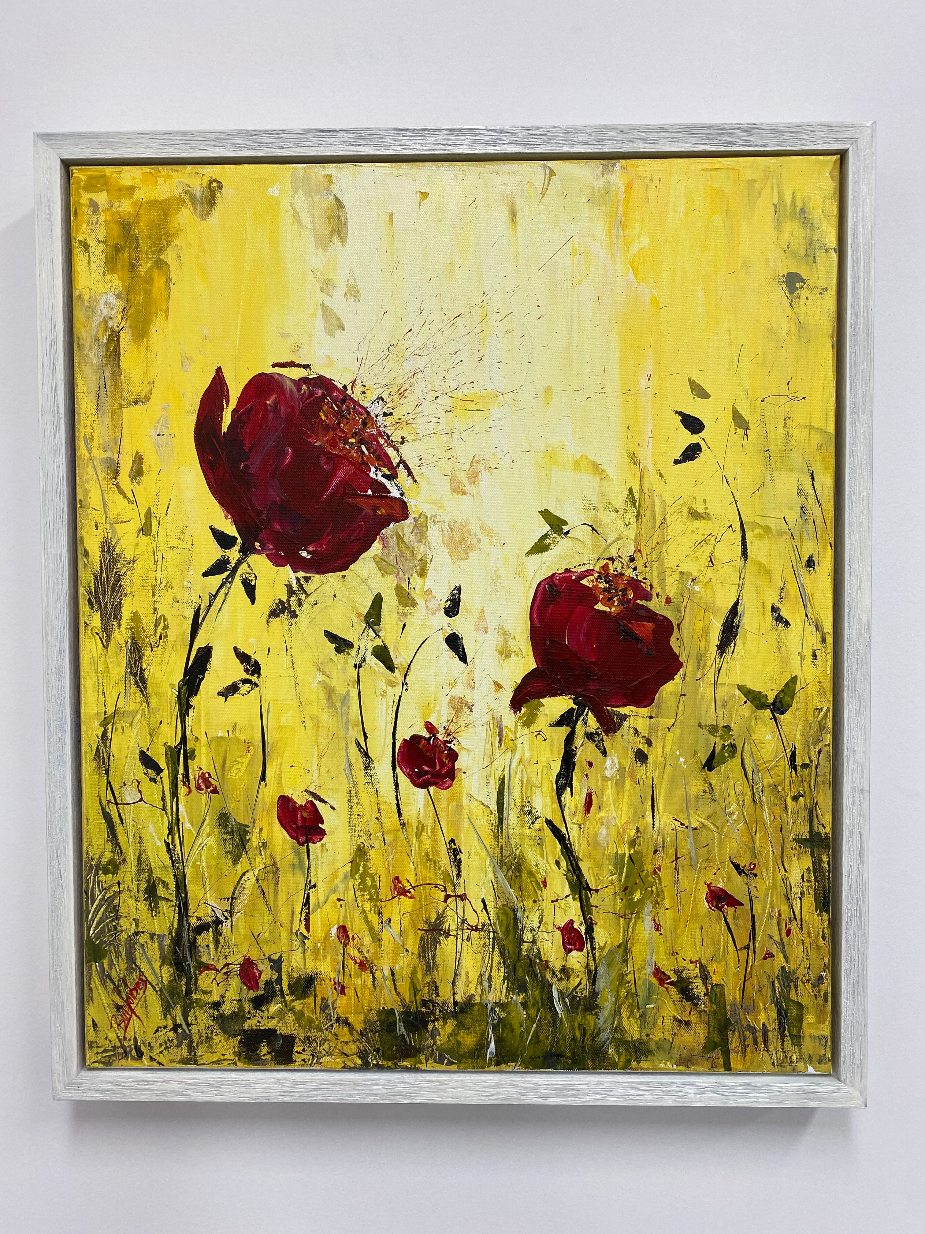 Yellow Framed Poppy 1